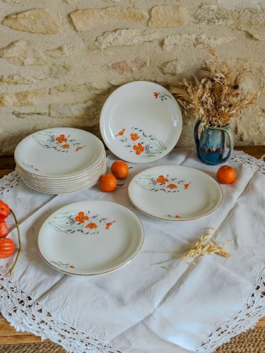 Antoinette, le lot de 12 assiettes Digoin Sarreguemines N°229