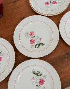 Antoinette, le lot de 6 assiettes à fleurs N°209