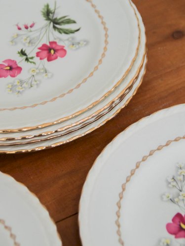 Antoinette, le lot de 6 assiettes à fleurs N°209