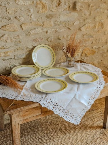 Antoinette, l'ensemble de 11 assiettes plates en faïence N°226