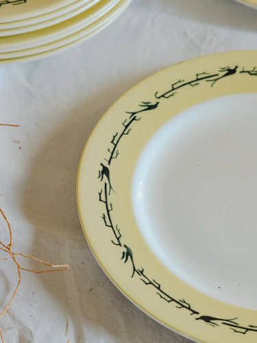 Antoinette, l'ensemble de 11 assiettes plates en faïence N°226