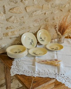 Antoinette, the set of 12 dessert plates No. 225