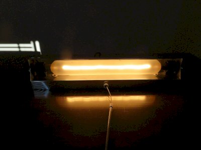 dot