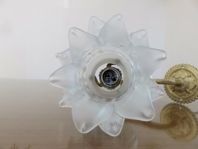 dot