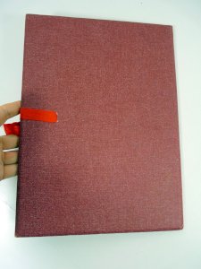 dot