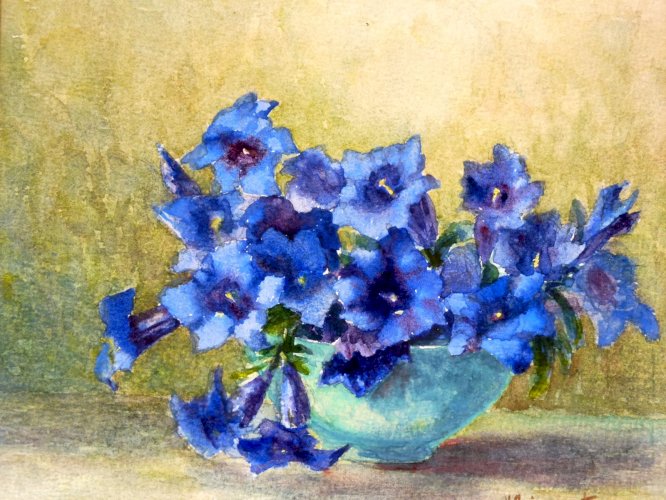 Aquarelle école française XX NATURE MORTE AUX GENTIANES signée V Quinemant cadre