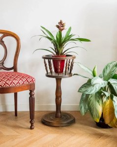 Ariel, le porte-plante en bois foncé N°479