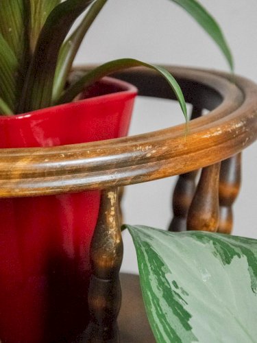 Ariel, le porte-plante en bois foncé N°479