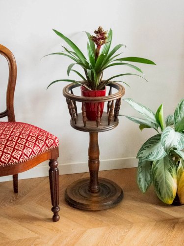 Ariel, le porte-plante en bois foncé N°479