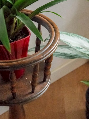 Ariel, le porte-plante en bois foncé N°479