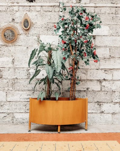 Ariel, le porte-plantes Baumann N°468