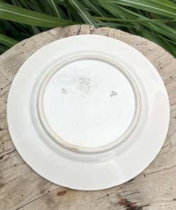 dot