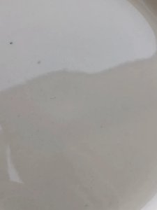 dot