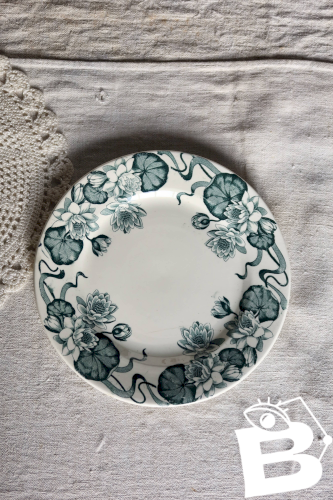 Assiette à dessert ancienne terre de fer Salins modèle Nénuphar