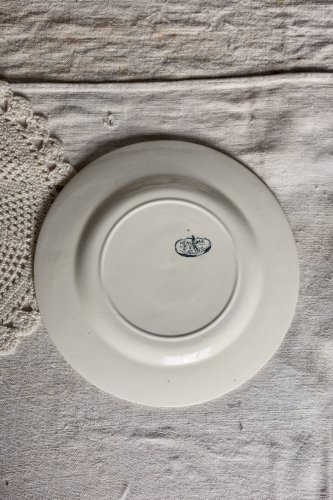 Assiette à dessert ancienne terre de fer Salins modèle Nénuphar