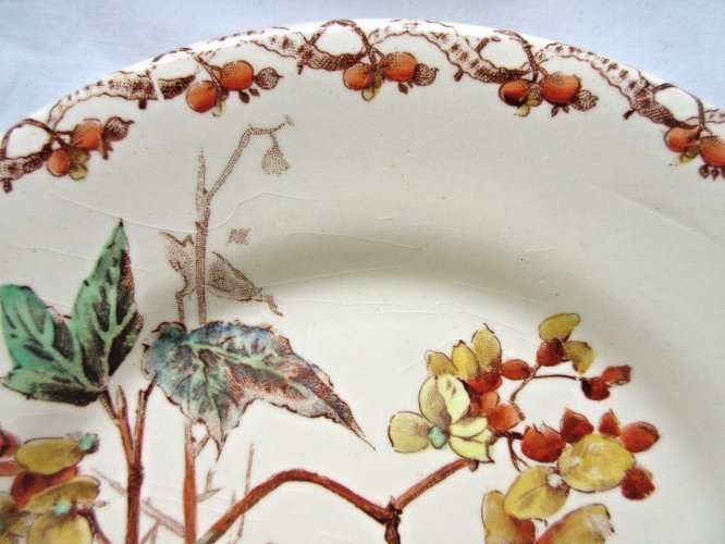 Assiette à dessert Art Nouveau, Porcelaine polychrome signée GIEN, Bégonias