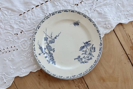 dot