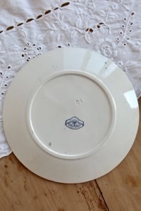 dot