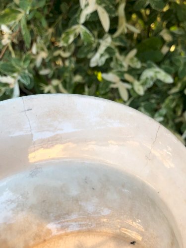 Assiette ancienne Copeland Spode England n• 204193