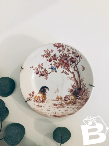 Assiette ancienne Digoin Sarreguemines