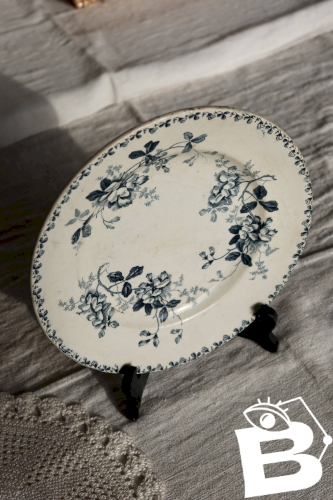 Assiette ancienne en terre de fer Saint-Amand et Hamage modèle Acacia