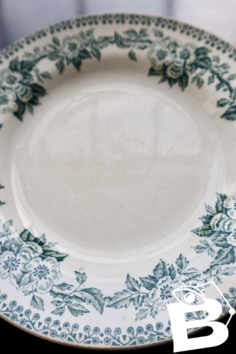 Assiette ancienne en terre de fer Saint-Amand, modèle Guadeloupe