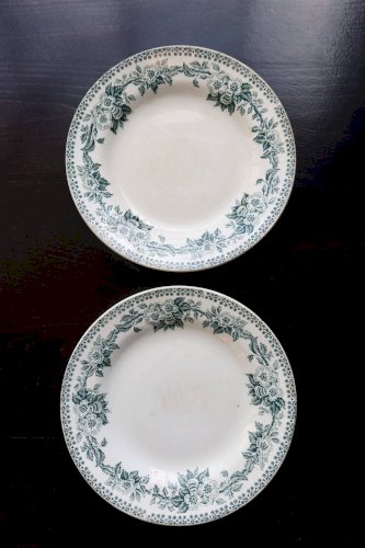 Assiette ancienne en terre de fer Saint-Amand, modèle Guadeloupe