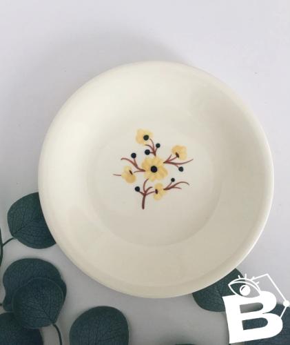 Assiette ancienne Salins