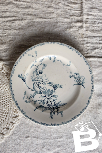 Assiette ancienne terre de fer Lunéville K&G modèle Marguerite bleu blanc