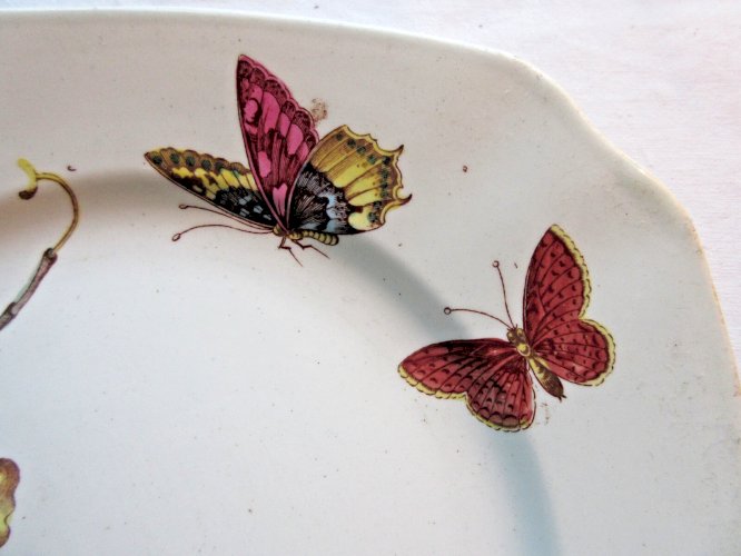 Assiette carrée polychrome, Lunéville, Art Nouveau: Orchidées, Papillons, Bateau