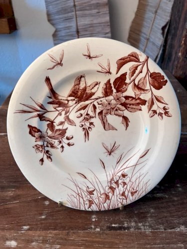 Assiette Clairefontaine S&G modèle Flowers