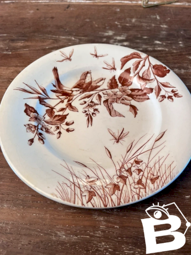 Assiette Clairefontaine S&G modèle Flowers