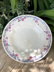 Centennial deep plate HBCM model Prunella