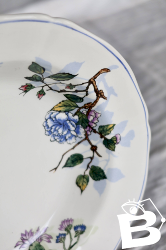 Assiette creuse porcelaine de Gien série LOiseau poète