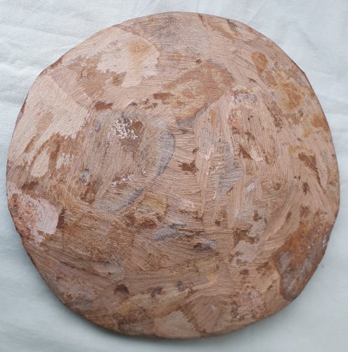Assiette décorative fossiles