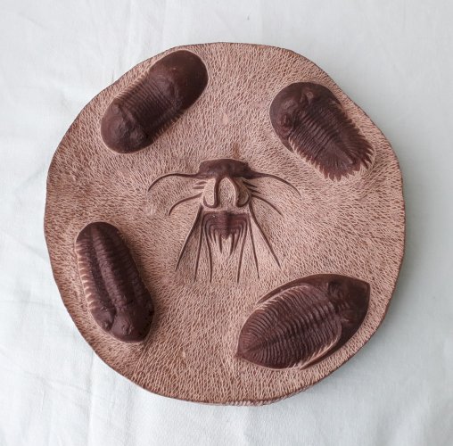 Assiette décorative fossiles