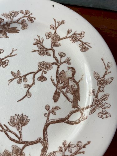 Assiette piédouche Terre de Fer oiseaux