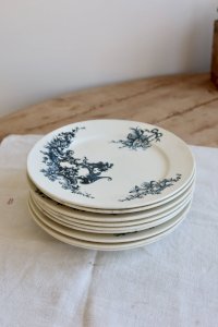 dot