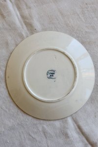 dot