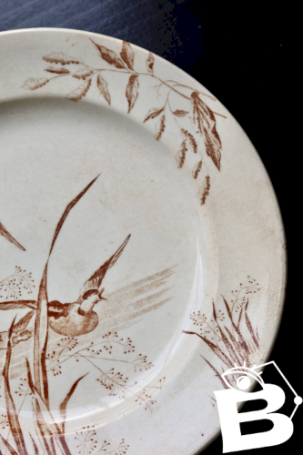 Assiette plate ancienne terre de fer Samaritaine décor Nénuphar