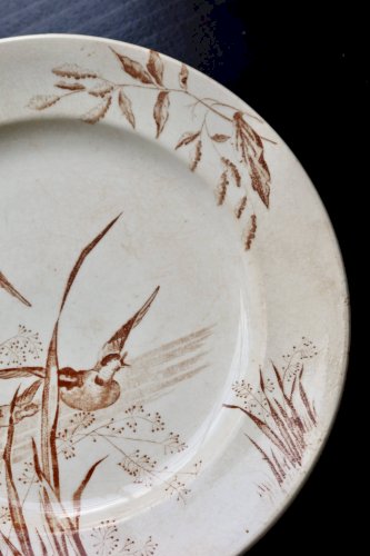 Assiette plate ancienne terre de fer Samaritaine décor Nénuphar