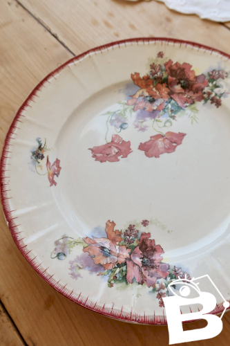 Assiette plate en terre de fer polychrome Saint-Amand et Hamage modèle Pavots