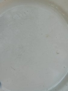 dot