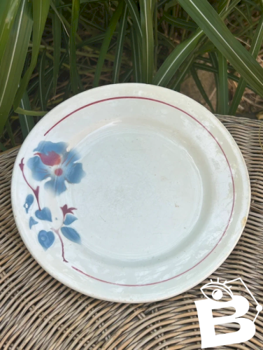 Assiette plate rétro vintage Faïenceries du Rhône modèle Cannes