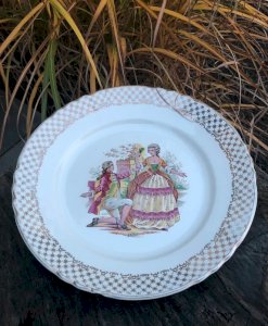 Vintage retro dinner plate