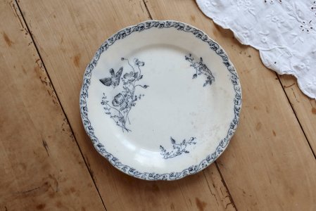 dot