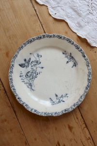dot