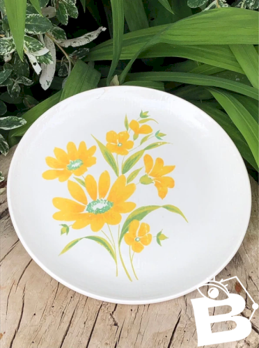 Assiette plate vintage Salins modèle Marguerite