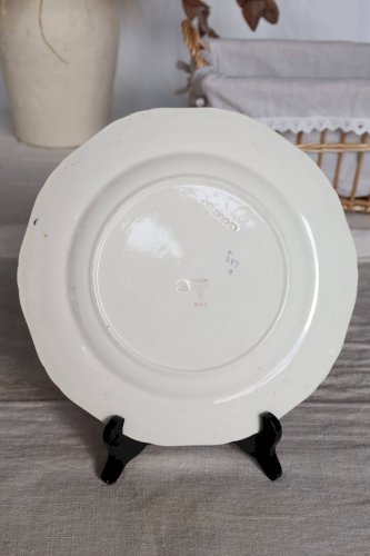 Assiette plate vintage terre de fer polychrome Bisto England - Modèle Anson