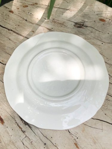 Assiette vintage en faïence de GIEN motifs fleurs bleues